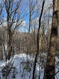 19N Fox Run Ln, Jasper, GA 30143