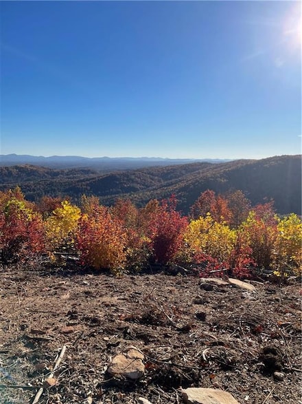 Lot 65 and 66 Widow Mountain Dr, North Wilkesboro, NC 28635