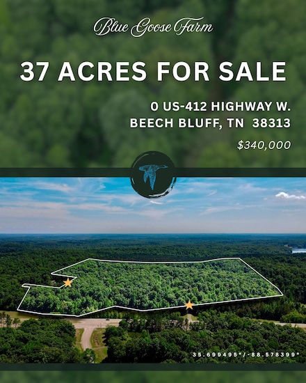 0 U S 412, Lexington, TN 38351