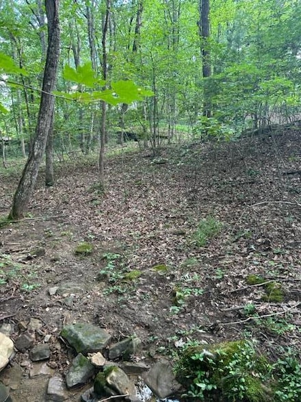 159 Sugarbush Cir, Crossville, TN 38558