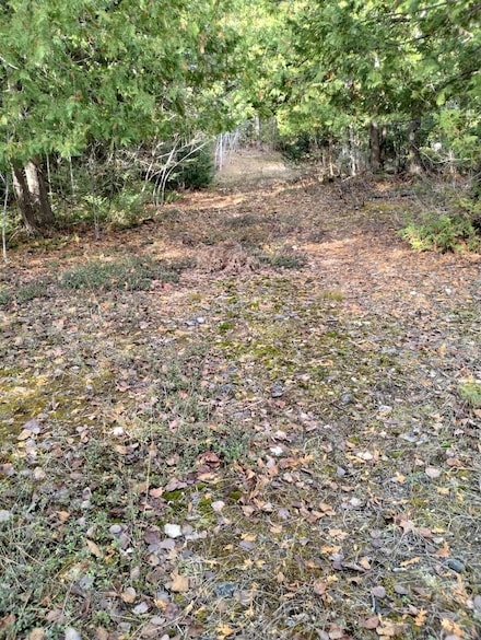 NHN W Hamilton Rd, Alpena, MI 49707