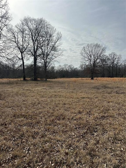 1231 Pleasant Hill Rd, Haworth, OK NULL