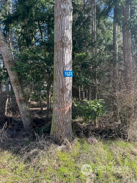 1223 Mitscher Dr, Coupeville, WA 98239