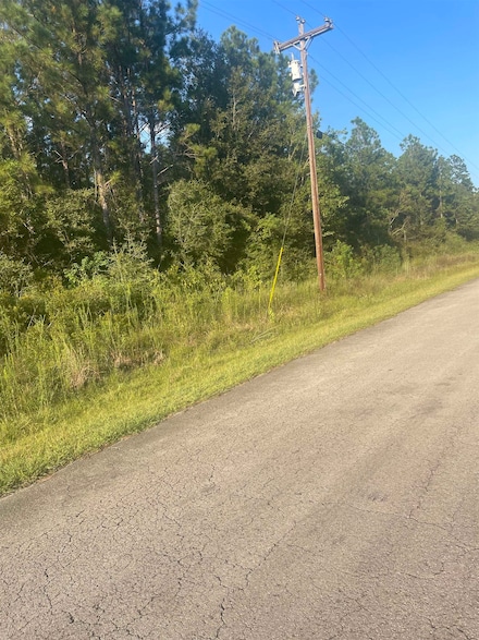 TBD Farm To Market 105, Evadale, TX 77615