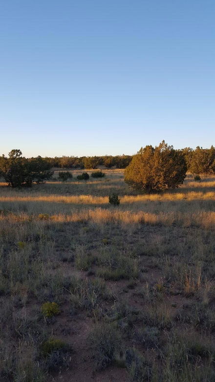 0 Ranch View Loop, White Oaks, NM 88301