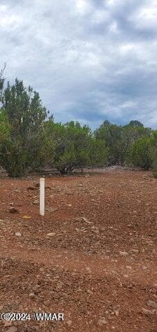 6 County Rd Unit 8406, Vernon, AZ 85940