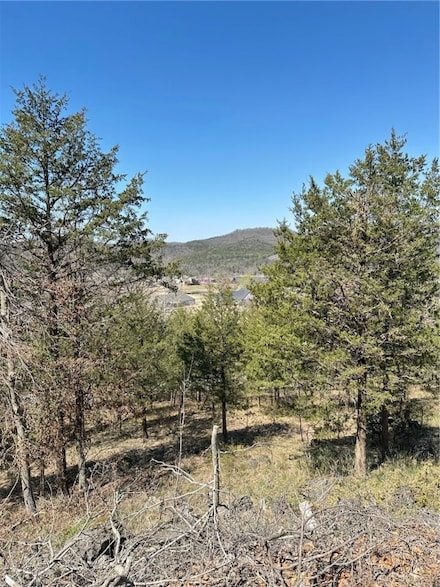 9 Quailrun Ln, Holiday Island, AR 72631