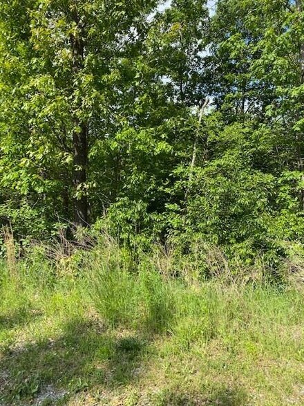 Lot 24 Stoneleigh Dr, Bella Vista, AR 72715