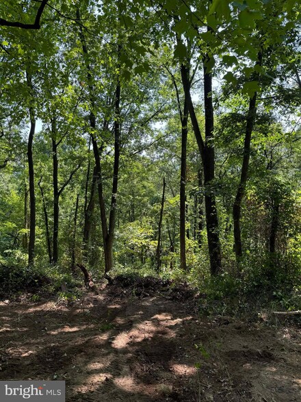 Lot #45 Hickory Hollow Rd, Berkeley Springs, WV 25411