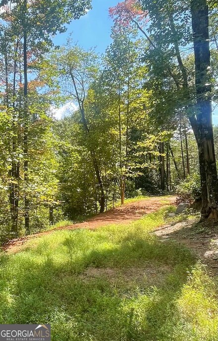 0 Chimney Mountain Rd Unit 10532859, Sautee Nacoochee, GA 30571