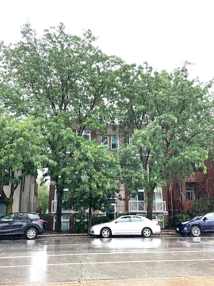 2135 N Southport Ave Unit 102, Chicago, IL 60614