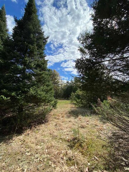 00 E Eddy School Rd, Chestonia Township, MI 49659