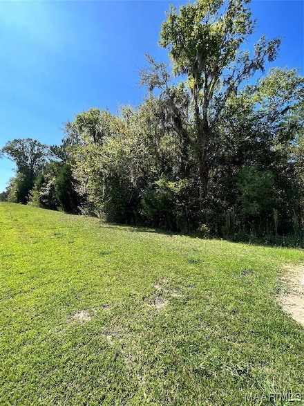Lot 3 Doe Run Ct, Pike Road, AL 36064