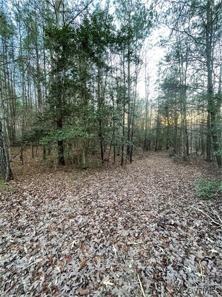 TBD / Lot 1 Evergreen Rd, Provdence Frg, VA 23140