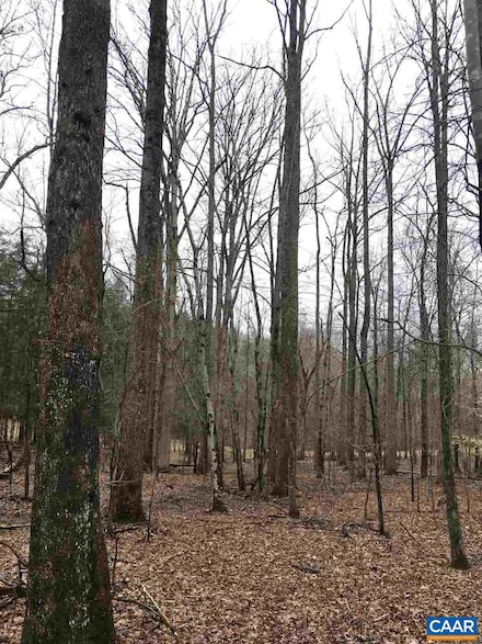 503 Garden Ln, Palmyra, VA 22963