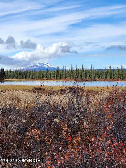49696 S Millennium Loop, Chickaloon, AK 99674