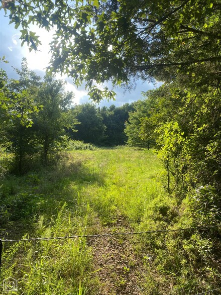 1234 Cord Rd, Newark, AR 72562
