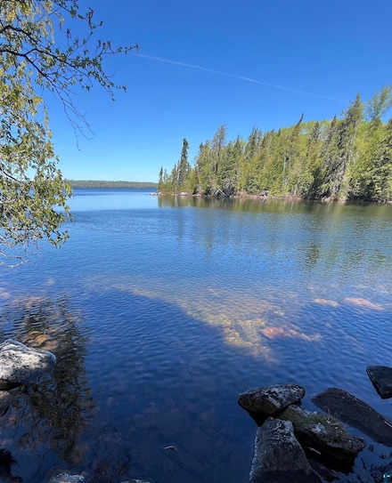 73 Tofte Cabin Trail Unit Greenwood Lake, Grand Marais, MN 55604