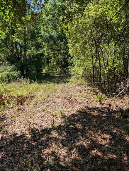 0 NW 202nd Place Unit MFROM701021, McIntosh, FL 32664