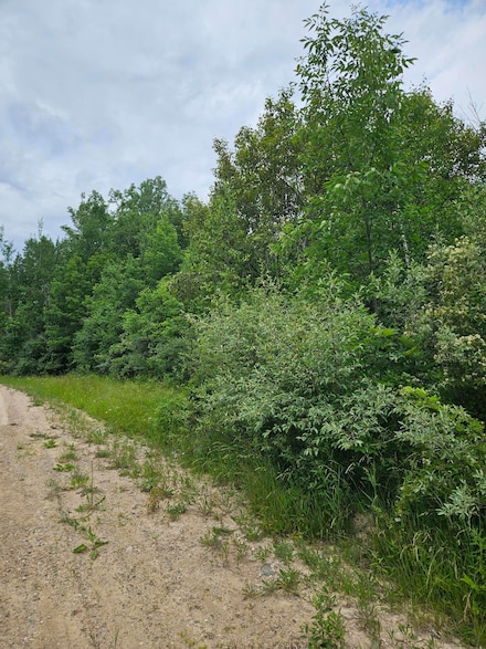 00 Shoshone Trail, Evart Township, MI 49631