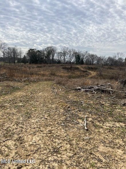 Lot 4 Cypress Corner Rd, Sarah, MS 38665