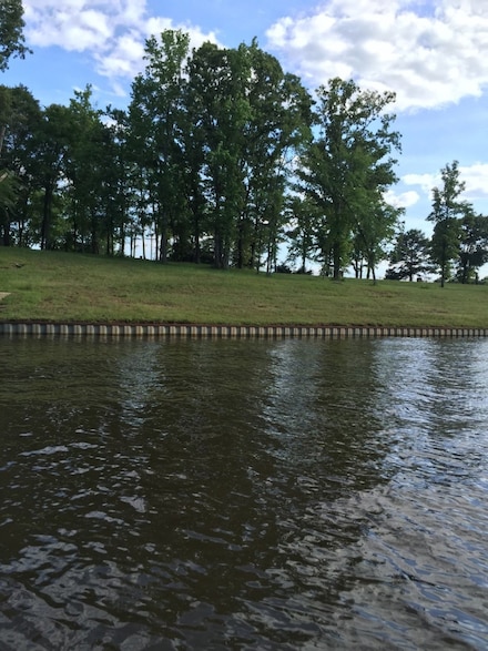 21253 Jamison Dr, Chandler, TX 75758