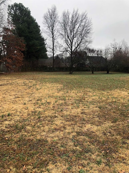 1 Ridgetop Dr, Paragould, AR 72450