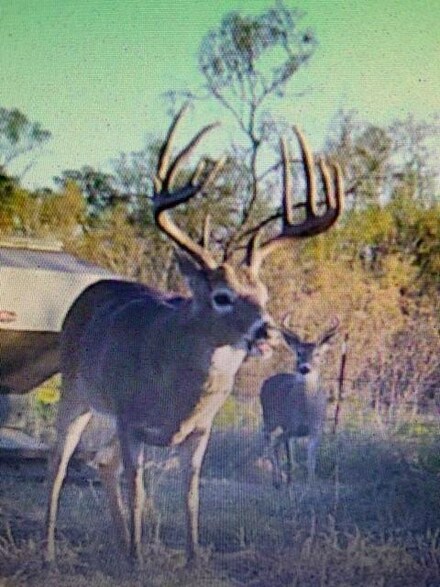 0 114 97 Sec 134 Spry Unit 20691668, No City, TX 79201