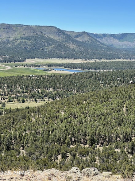 2112 N 2121 Vista Unit 102-68-001, Nutrioso, AZ 85932