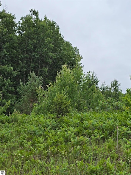 V/L 00 N 9 Rd, Mesick, MI 49668