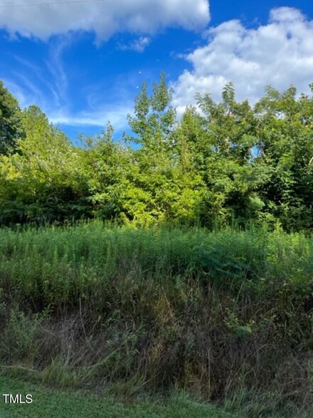 0 Christmas Rd Unit 10013431, Shocco, NC 27589