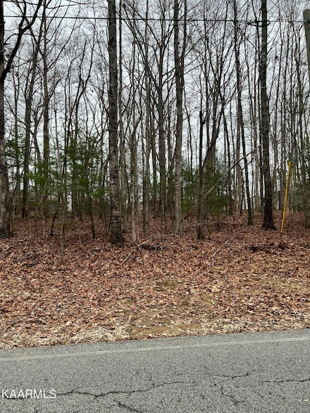 238 Saint George Dr, Crossville, TN 38558