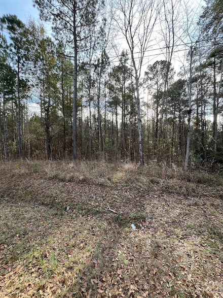 44 State Road S-20-446, Winnsboro Mills, SC 29180