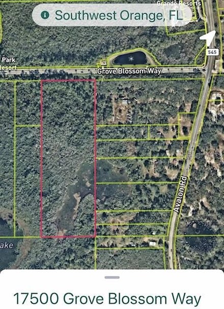 17500 Grove Blossom Way, Four Corners, FL 34787