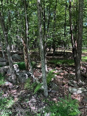 8 Delilah Rd 8 Rd, East Stroudsburg, PA 18302