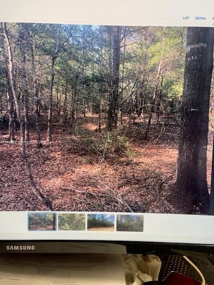 1 Bonita, Other City - In the State of Florida, FL 32433