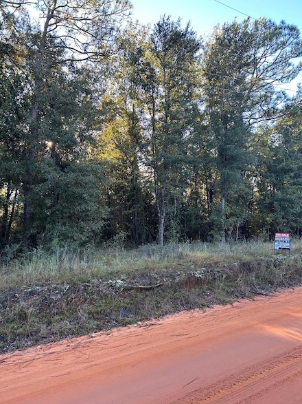 14 & 15 Paradise Dr, Donalsonville, GA 39845