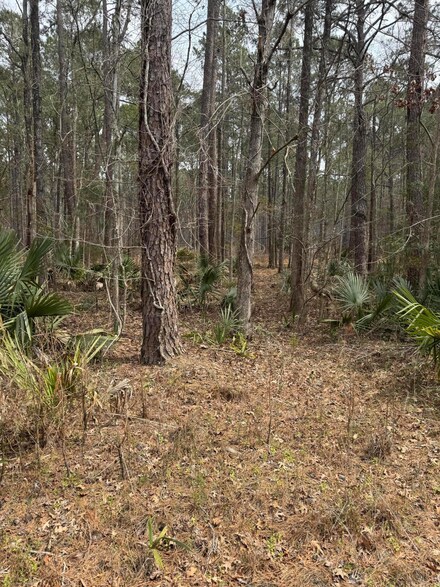 0 Prices Bridge Ln Unit 25006749, Walterboro, SC 29488