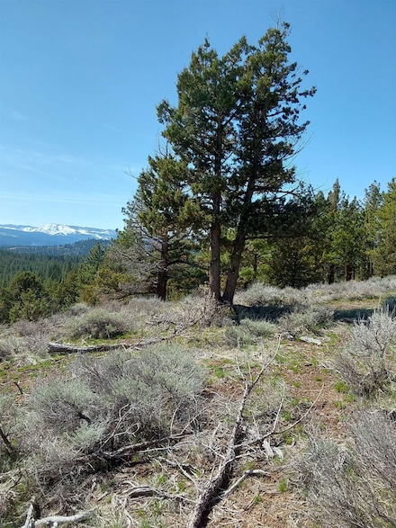 462 Quail Run Unit Wood-Marcel, Iron Horse, CA 96122