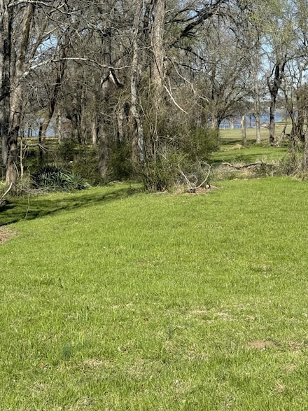 0 Tawakoni Dr, East Tawakoni, TX 75472