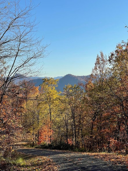 58M Mountain Harbour Dr, Hayesville, NC 28904