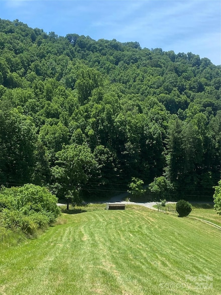 TBD Morgan Branch Rd, Marshall, NC 28753