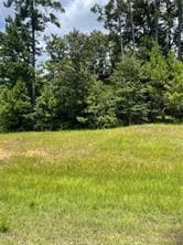LOT 3 - TBD 28 Hwy W, Boyce, LA 71409