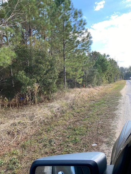 Parcel 2 Shannon Ln, Lucedale, MS 39452
