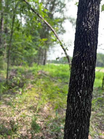 170 Deerfield Rd Unit Lot 88, Colbert, OK 74733
