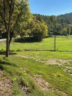 63.74 Chestnut Valley Rd, Vonore, TN 37885
