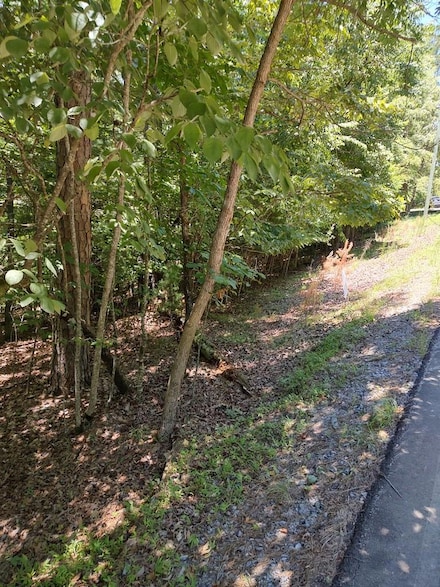 Lot 853 Matrix Ln, Ellijay, GA 30540