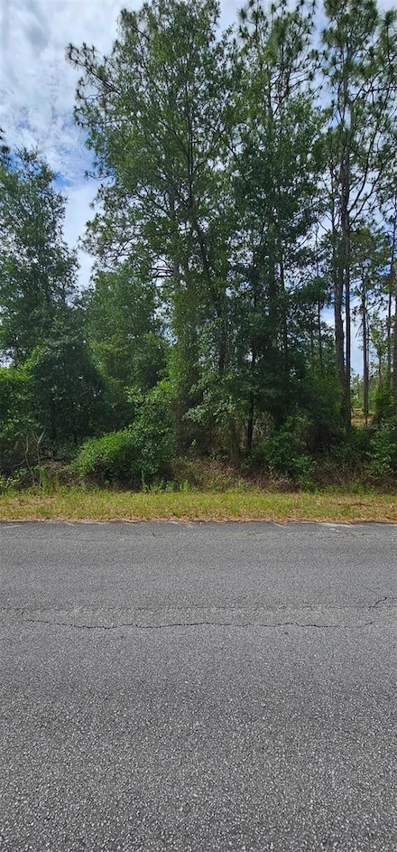 0 NW Aspen Ln Unit MFROM701247, Dunnellon, FL 34431
