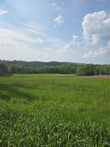 0 Backus Rd Unit R1615327, New Lisbon, NY 13415