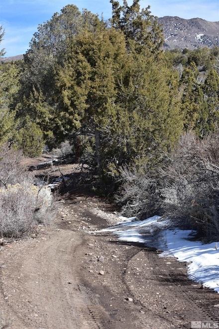 TBD S, Gardnerville, NV 89410